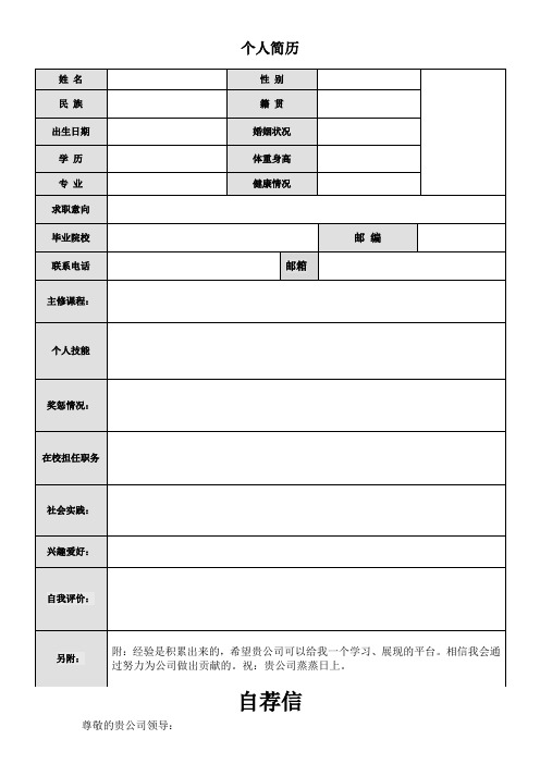 2012年最新简历模板