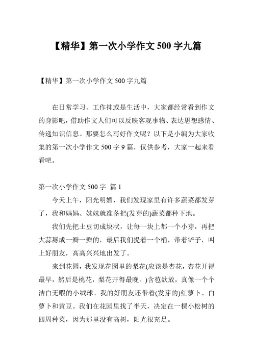 【精华】第一次小学作文500字九篇