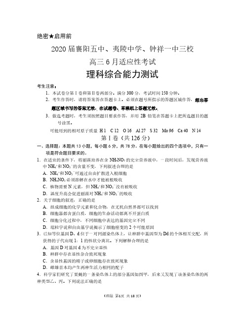 湖北省襄阳五中、夷陵中学、钟祥一中三校2020届高三6月适应性考试理综试题
