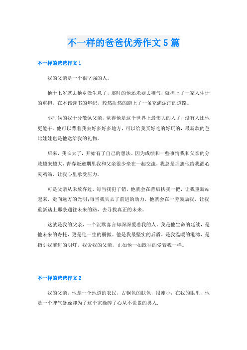 不一样的爸爸优秀作文5篇