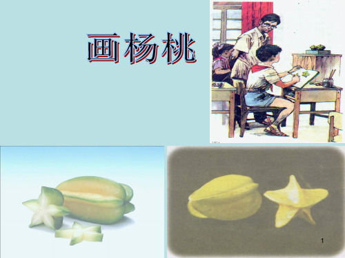 多角度观察物体PPT课件