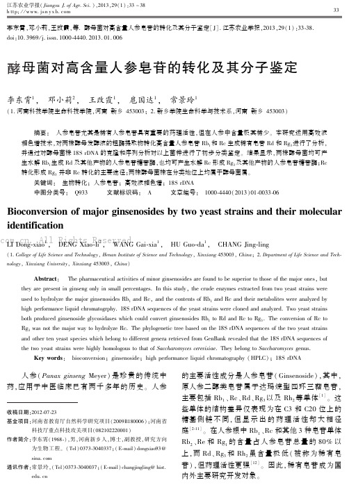 酵母菌对高含量人参皂苷的转化及其分子鉴定