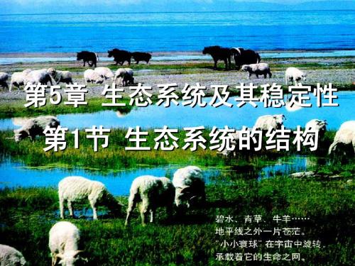 生物：5.1《生态系统的结构》课件(新人教版必修3)湖南师大