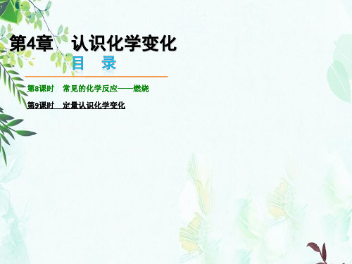 中考化学第4章认识化学变化课件(新版)沪教版