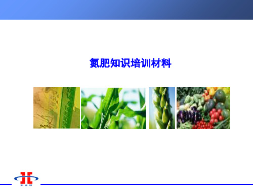 尿素知识