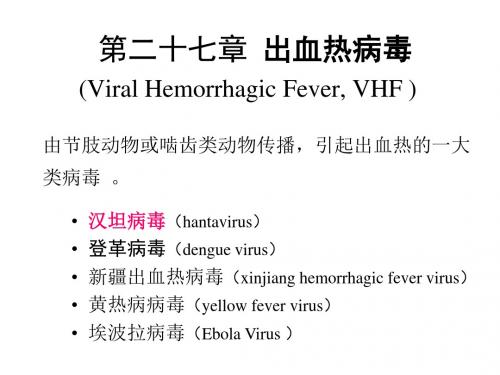 [整理后]二十七章出血热病毒ViralHemorhagicFeverVHF