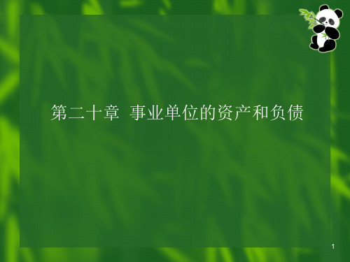 事业单位资产负债管理与财务会计分析