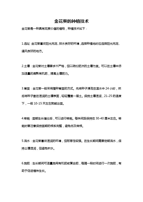 金花葵的种植技术