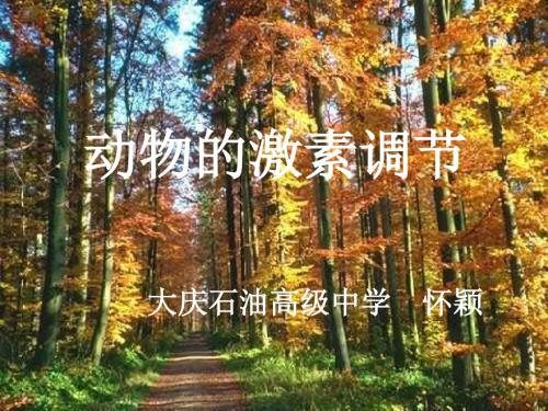 七年级生物激素调节12(2019年新版)