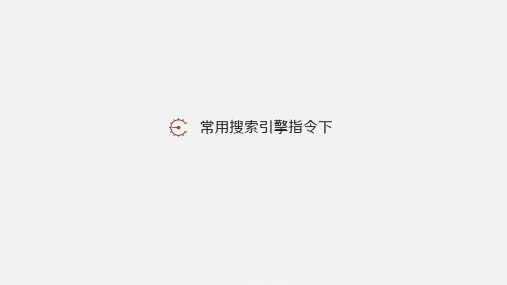 04.常用搜索引擎指令下