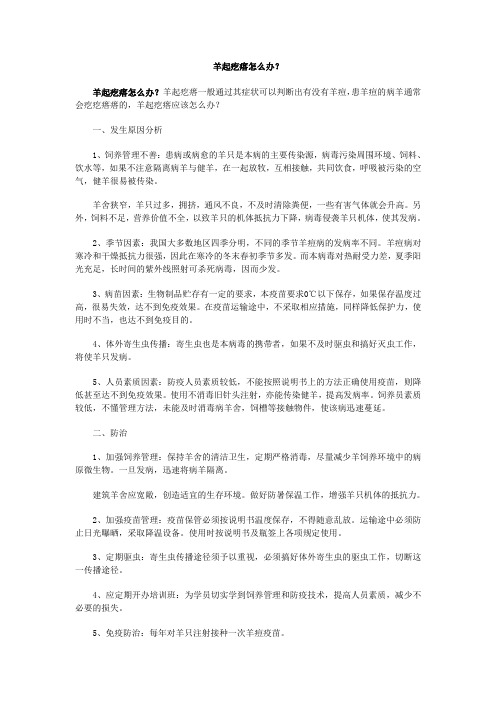 羊起疙瘩怎么办？