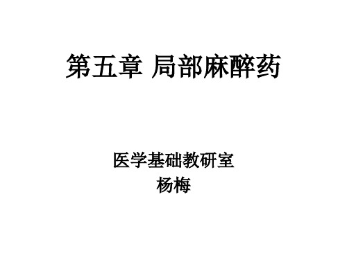 第十章 局部麻醉药