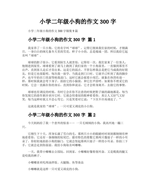 小学二年级小狗的作文300字
