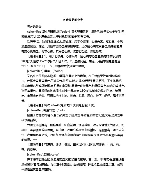 各种灵芝的分类