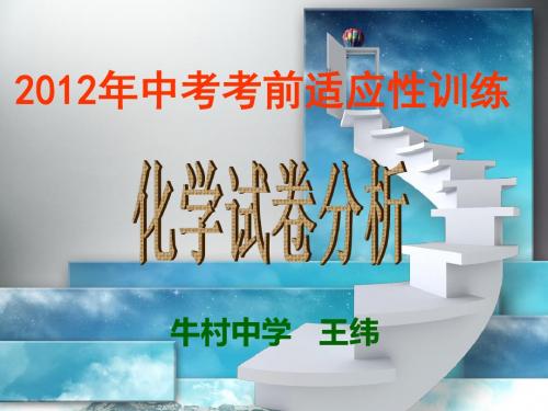 2012年中考适应性训练试卷分析