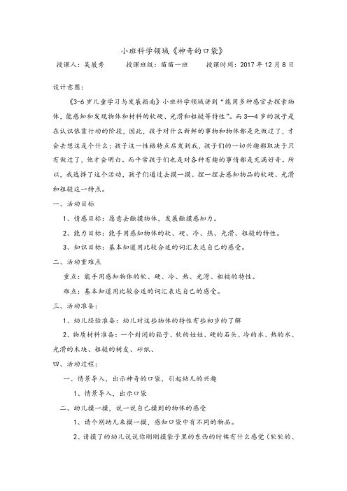 小班科学领域《神奇的口袋》