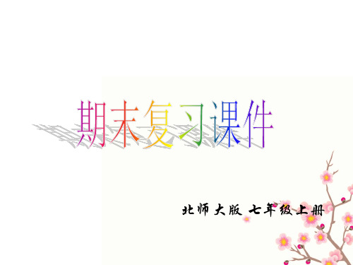 新北师大版七年级上册期末复习课件