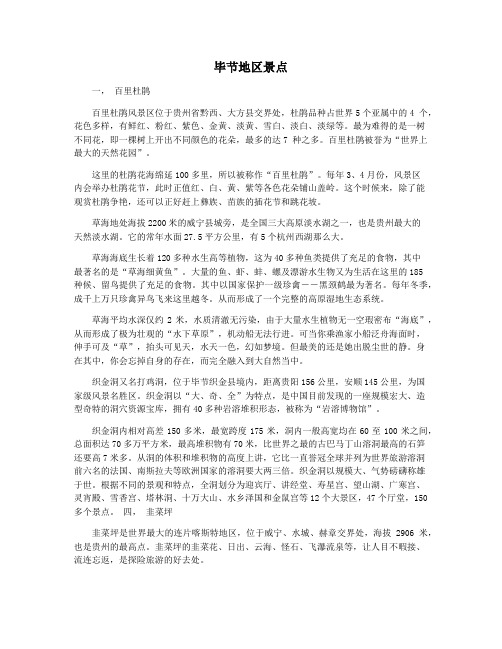 毕节地区景点