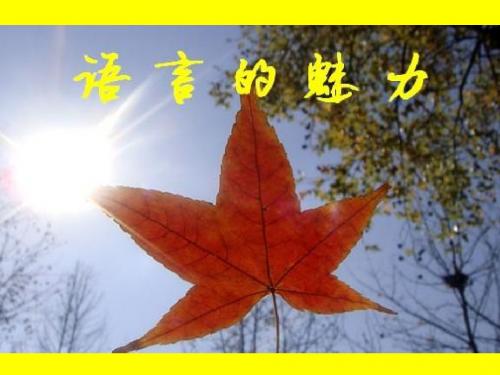 北师大版小学四年级语文下册《语言的魅力》观摩课示范课公开课优质课赛教课精品课件PPT