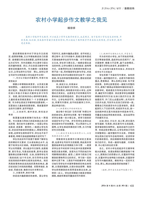 农村小学起步作文教学之我见