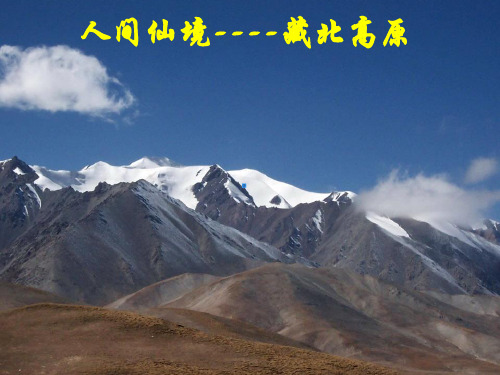 五年级下册语文课件-4.2《藏羚羊跪拜》长春版(共52张PPT)