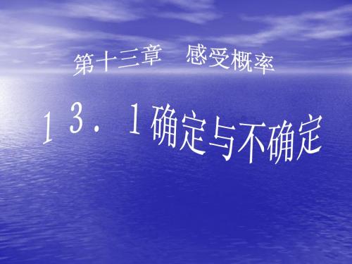 确定与不确定课件