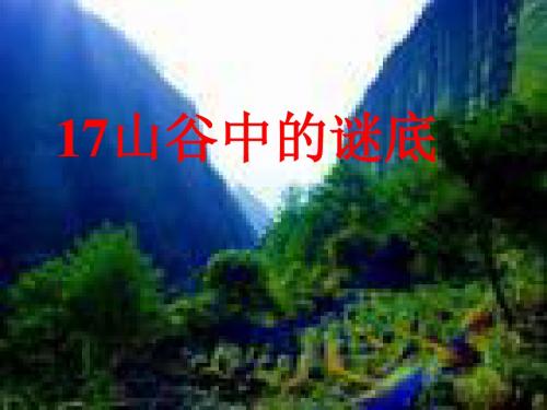17山谷中的谜底