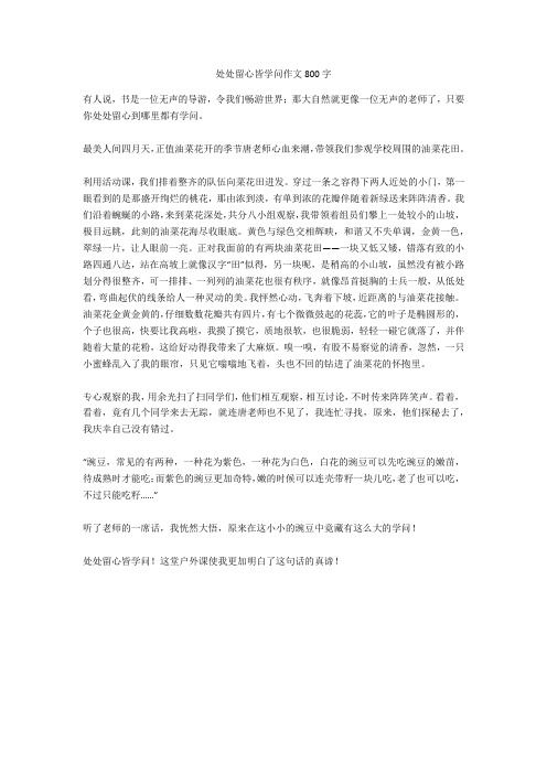 处处留心皆学问作文800字正式版