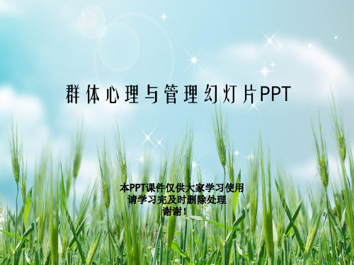 群体心理与管理幻灯片PPT