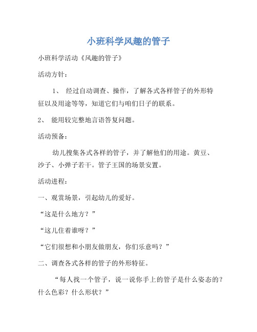 小班科学有趣的管子