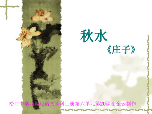 语文版九年级上第六单元20课秋水(共31张PPT)