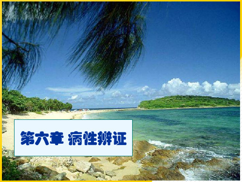 病因辩证优秀PPT资料
