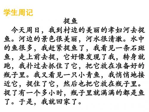 作文训练1如何把一件事写具体ppt PPT课件(共16张)