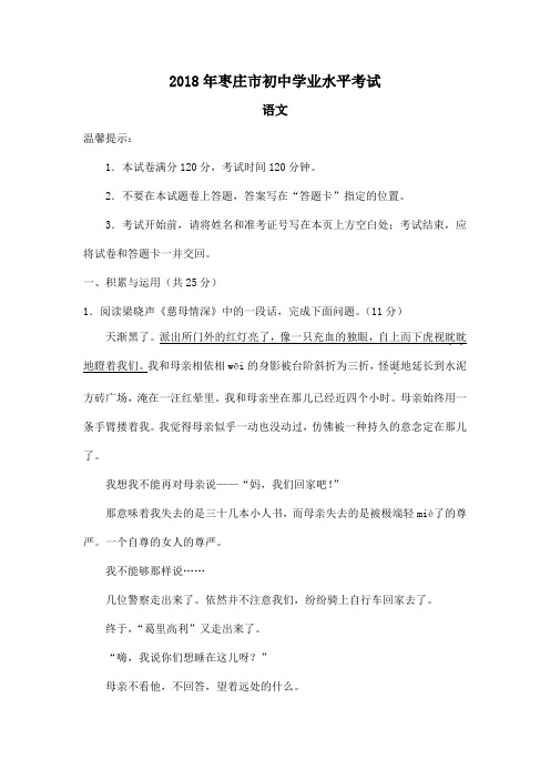 山东省枣庄市2018年中考语文试题(word版,含答案)