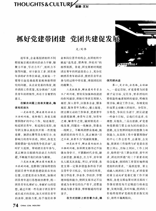抓好党建带团建 党团共建促发展