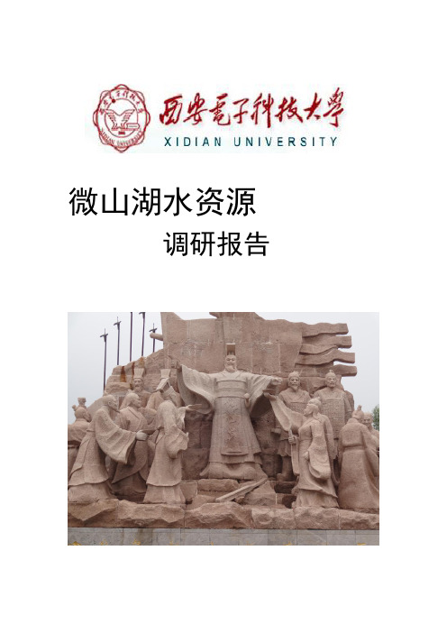 千岛湖湿地调研报告