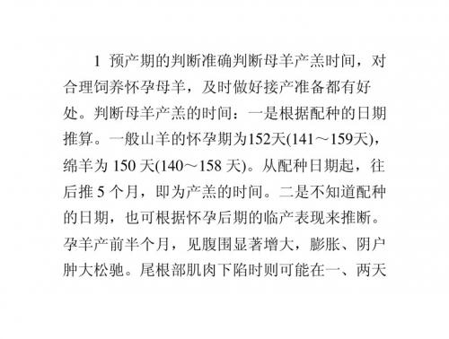 羊的产前产后管理要点