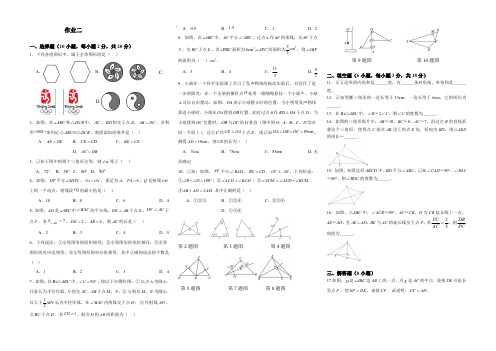 国庆作业(二)-2024-2025学年人教版八年级数学上册