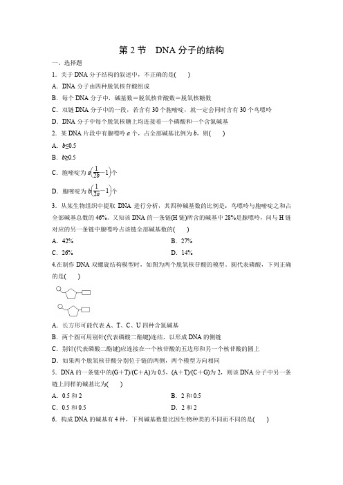 课时作业2：3.2DNA分子的结构