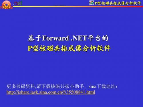 P型核磁共振成像分析软件.ppt