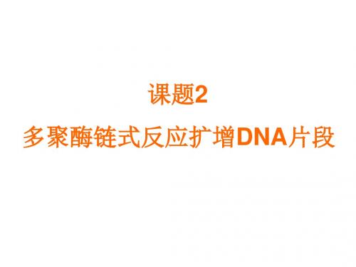 高三生物多聚酶链式反应扩增dna