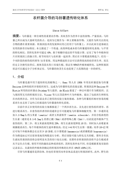 马铃薯遗传转化方法(protocal翻译)