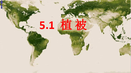 人教版新课标高中地理必修一 5.1植被 课件(共25张ppt)