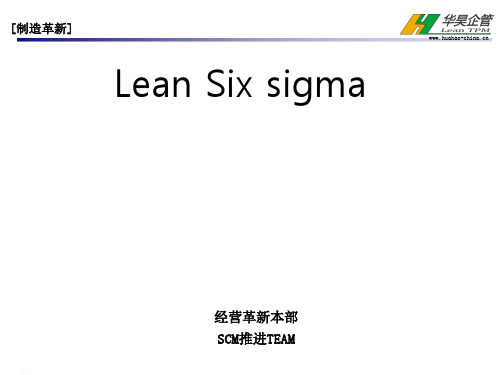 Lean Six sigma Lean 方法与六西格玛