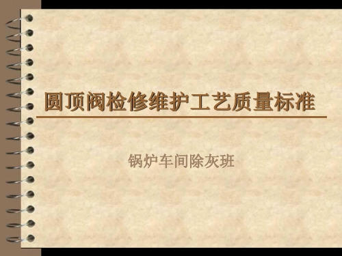 圆顶阀的工作原理及检修工艺和质量标准(除灰班)