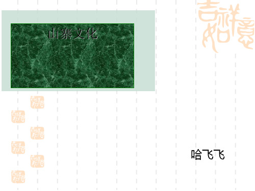 山寨文化 PPT课件