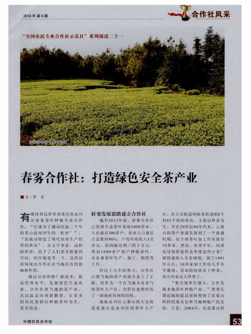 春雾合作社：打造绿色安全茶产业