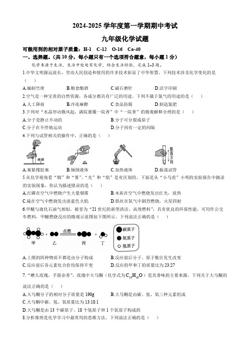 2024--2025学年九年级上学期期中考试化学试题