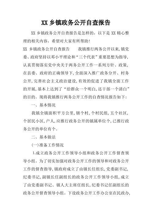 乡镇政务公开自查报告