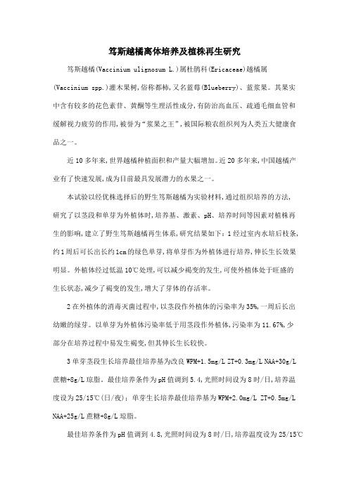 笃斯越橘离体培养及植株再生研究
